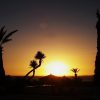 bivouac-maroc