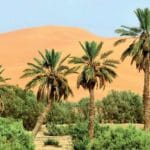 Climat et Météo à Errachidia