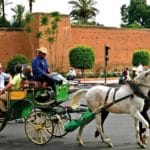 Marrakech attractions touristiques