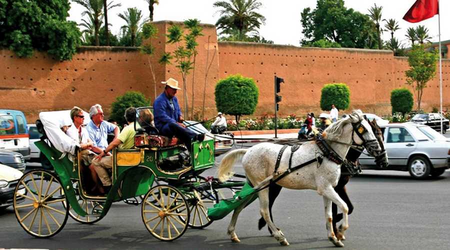 Résultat de recherche d'images pour "la ville de marrakech maroc photo"