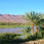 Vallée du Drâa maroc