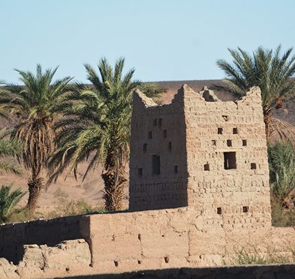 oasis sud maroc