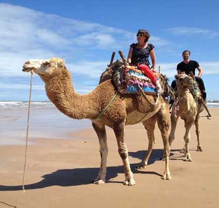 Excursion privée à Agadir pendant une journée avec plusieurs activités