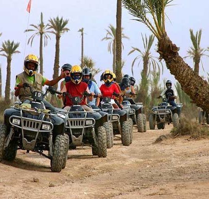 quad palmeraie marrakech