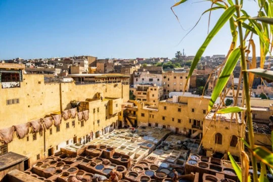 fes - ville imperiale marocaine