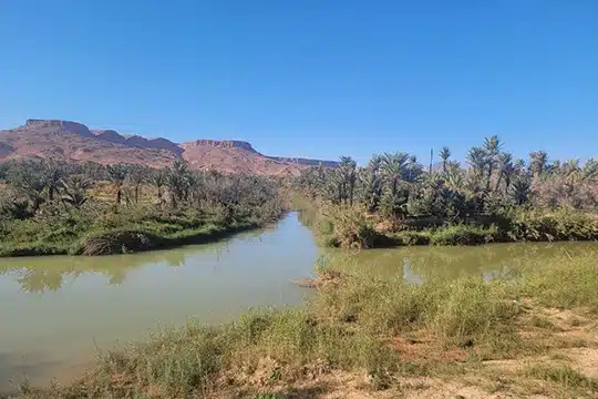 Vallées et oasis du sud marocain